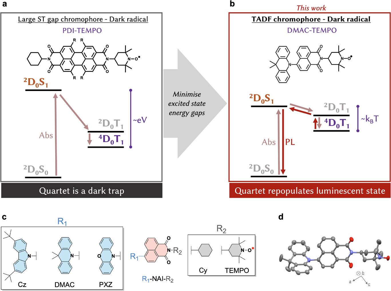 Radical TADF: Quartet-Derived Luminescence with Dark TEMPO