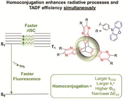 Simultaneous enhancement of thermally activated delayed fluorescence and photoluminescence quantum yield via homoconjugation