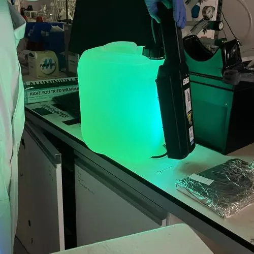 GlowGreen